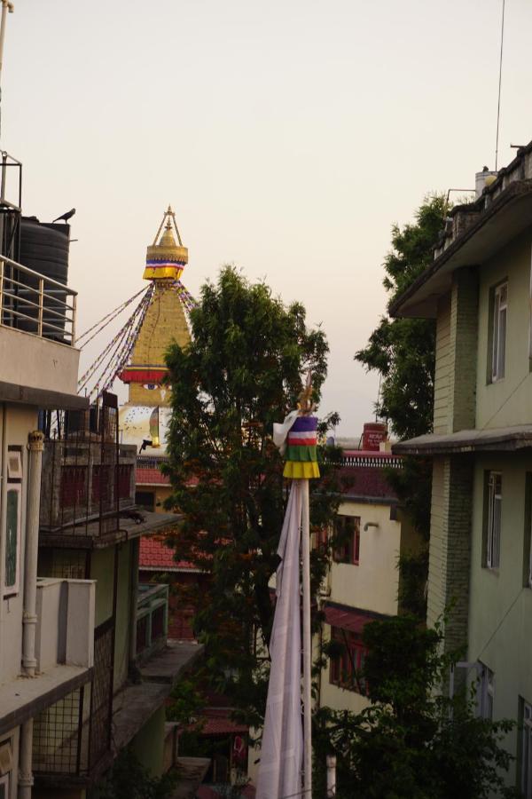 Drakon Nest Homestay Катманду Екстер'єр фото